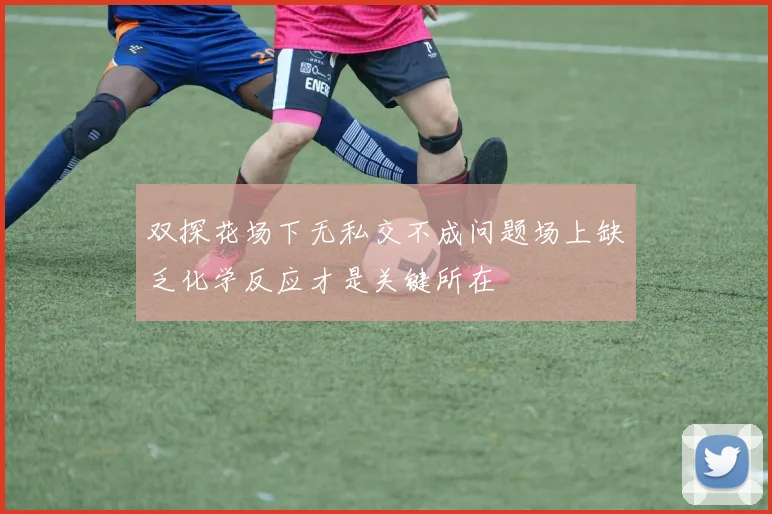 双探花场下无私交不成问题场上缺乏化学反应才是关键所在